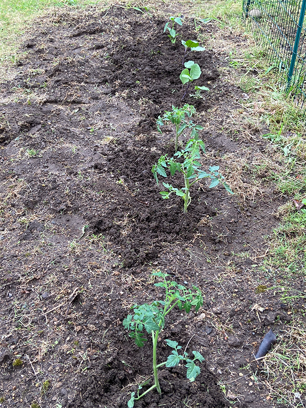 IMG_4057 のコヒ$309Aー