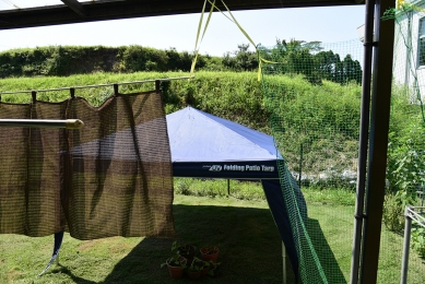 _DSC5113 のコヒ$309Aー