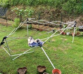 IMG_6523 のコヒ$309Aー