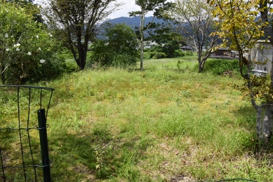 _DSC7470 のコヒ$309Aー