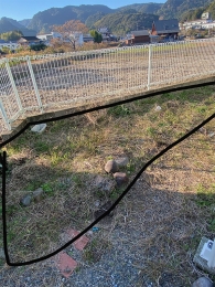 IMG_8883 のコヒ$309Aー