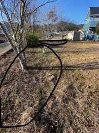 IMG_8880 のコヒ$309Aー