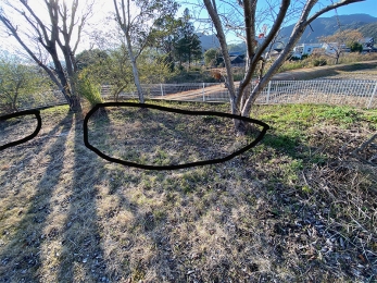 IMG_8878 のコヒ$309Aー