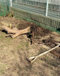 IMG_8843 のコヒ$309Aー