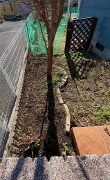 IMG_8841 のコヒ$309Aー