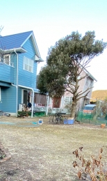 IMG_9141 のコヒ$309Aー