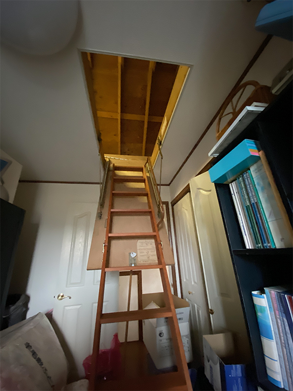 IMG_9889 のコヒ$309Aー