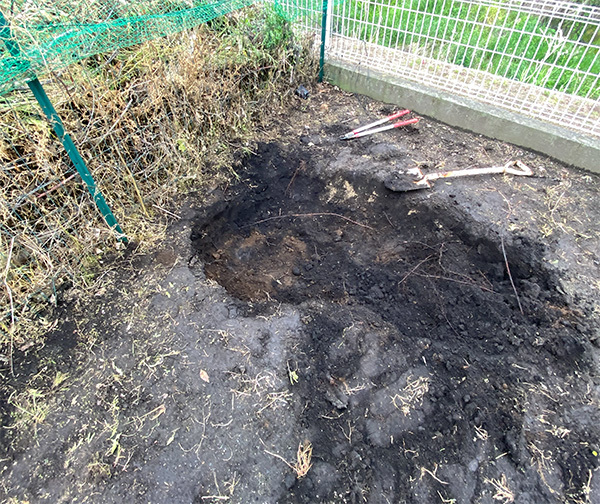 IMG_1285 のコヒ$309Aー