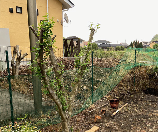 IMG_1283 のコヒ$309Aー