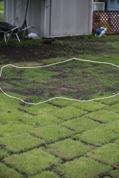 _DSC9461 のコヒ$309Aー