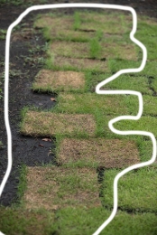 _DSC9459 のコヒ$309Aー