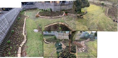 IMG_7325 のコヒ$309Aー