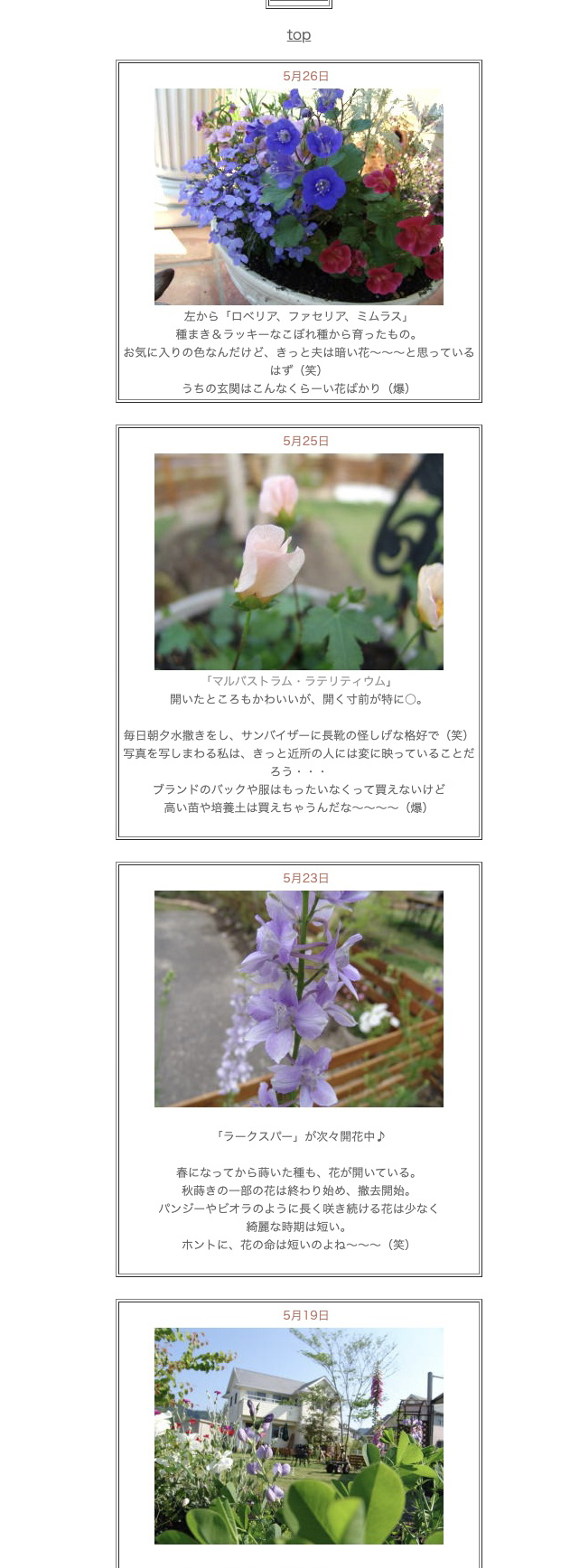 11 のコヒ$309Aー